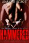 [Velvet 04] • Hammered